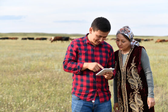 50593254991_ebd8b42923_b