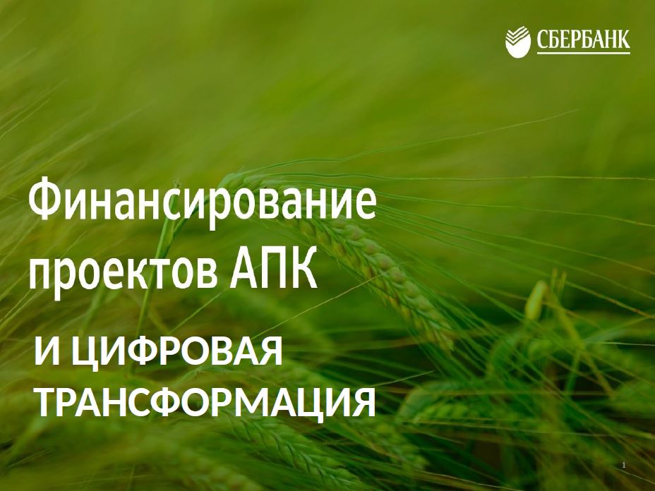 Финансирование проектов АПК и цифровая трансформация. Презентация Олега Тихомирова