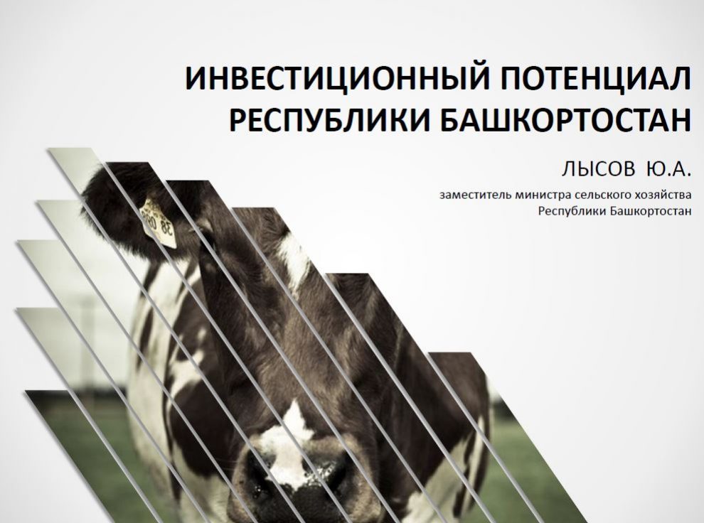 Инвестиционный потенциал республики Башкортостан. Презентация Юрия Лысова