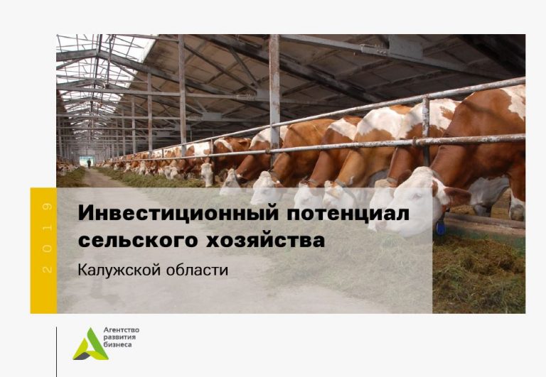 Инвестиционный потенциал сельского хозяйства Калужской области. Презентация Стефана Перевалова