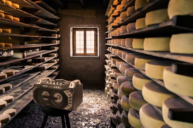 Музыка и процесс созревания сыра Тип музыки влияет на процесс созревания сыра