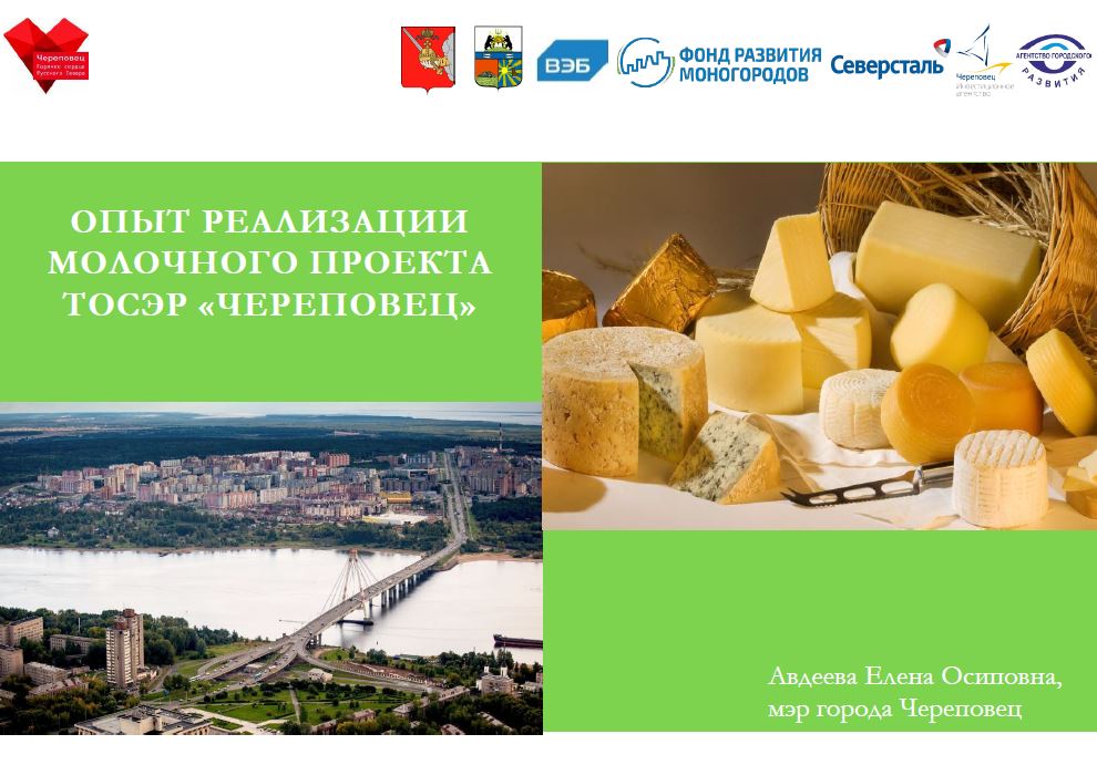 Опыт реализации молочного проекта ТОСЭР Череповец. Презентация Елены Авдеевой