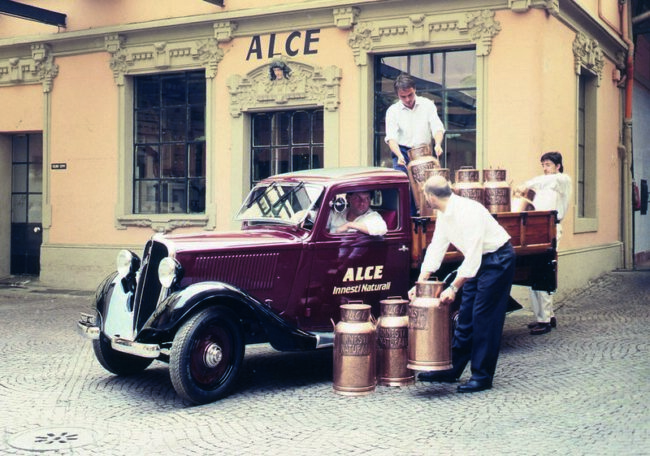 alce_4