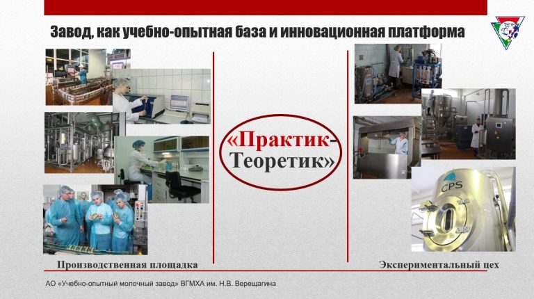 Исследовательские компетенции и цифровые технологии в подготовке специалистов