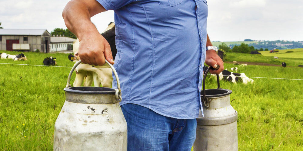 Молочник Информация об основах получения высококачественного молока
