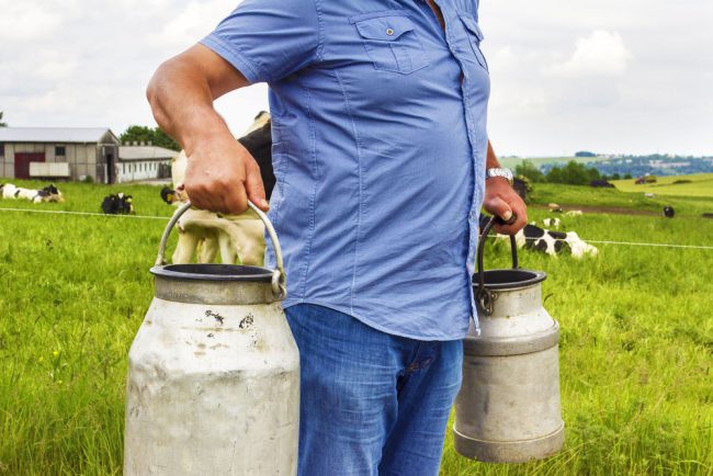 Молочник Информация об основах получения высококачественного молока