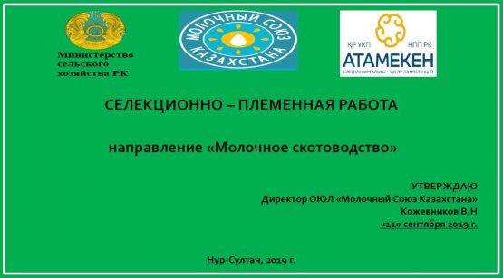 Селекционно-племенная работа в молочном скотоводстве Селекционно-племенная работа в молочном скотоводстве