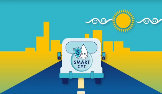 видео Смарт Сут, хорошая практика для фермеров-молочников