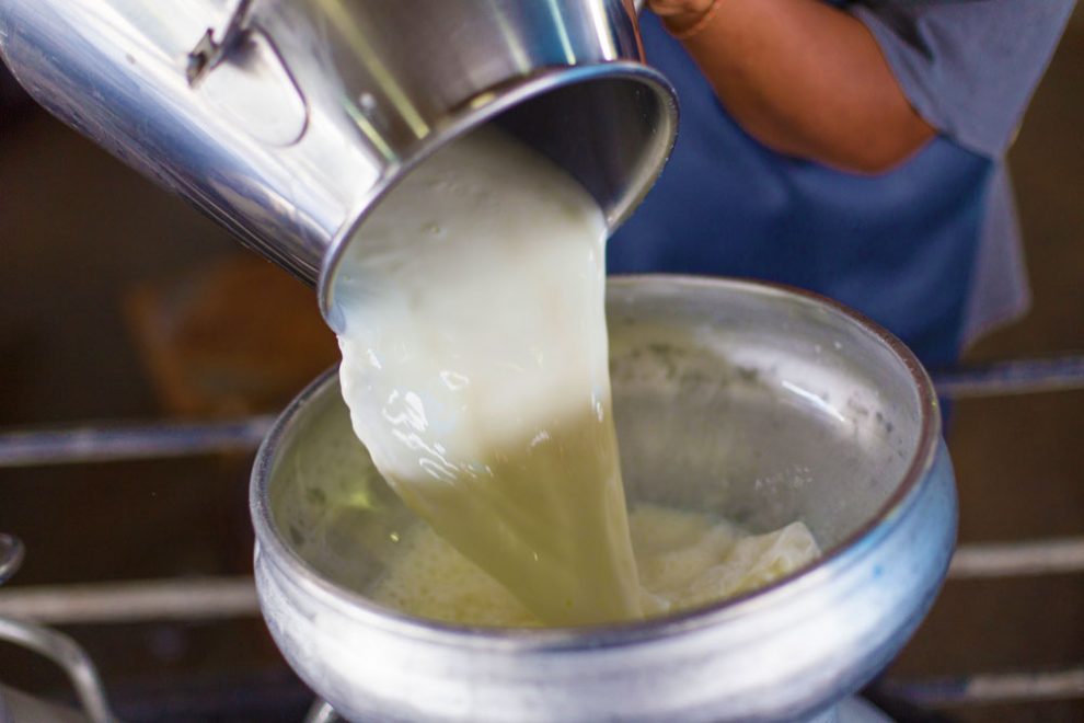 О "диком" молоке и молочной продукции. И чем может грозит покупка молока "у бабушки"