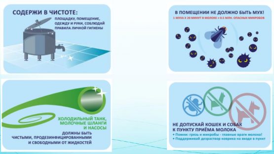 Требования к заготавливаемому молоку-сырью согласно ТР ТС Требования к заготавливаемому молоку-сырью согласно ТР ТС
